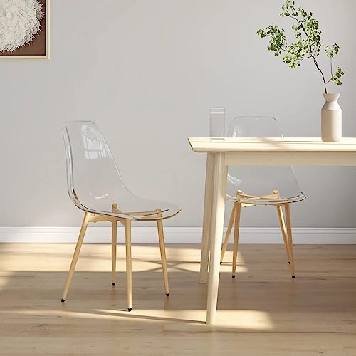 Qnhdfrt Esszimmerstühle 2 STK. Transparent PET mit Metallbeinen - Modernes Design, Robuste Konstruktion, Ergonomische Rückenlehne Qnhdfrt Esszimmerstühle 2 STK. Transparent PET mit Metallbeinen - Modernes Design, Robuste Konstruktion, Ergonomische Rückenlehne von Qnhdfrt