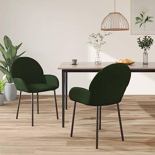 Qnhdfrt Esszimmerstühle Dunkelgrün Samt - 2er Set mit Metallrahmen & Schaumstoffpolsterung, Robuste Essstühle mit Armlehnen für Küche, Wohnzimmer und Essbereich von Qnhdfrt