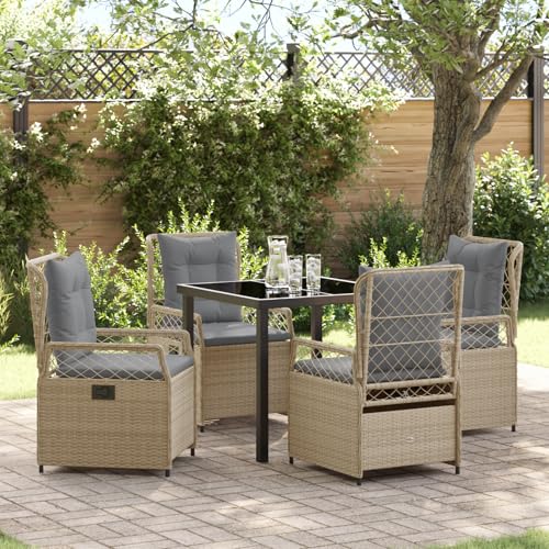 Qnhdfrt Garten ESS-Set 5-teilig Beige PE-Rattan Outdoor Möbel Gartenstühle Tisch Set für Terrasse Balkon von Qnhdfrt