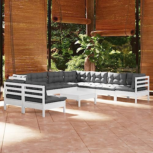 Qnhdfrt Garten Lounge Set Weiß aus Massivholz Kiefer mit Kissen Modular Outdoor Sitzgruppe für Terrasse Balkon und Garten von Qnhdfrt