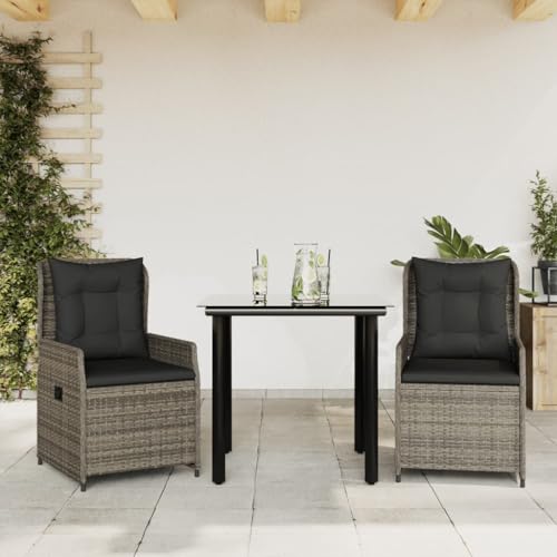 Qnhdfrt Gartenmöbel Set 3 TLG Poly Rattan Balkonmöbel Sitzgruppe mit Verstellbarer Rückenlehne klappbare Stühle und Gartentisch 80x80 cm für kleine Balkone Terrasse Garten von Qnhdfrt