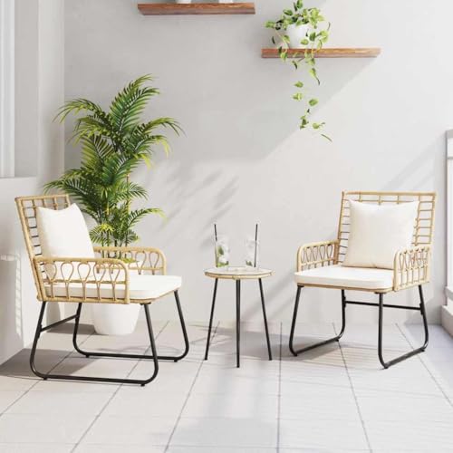 Qnhdfrt Gartenmöbel Set 3 Teile Schwarz Anthrazit Poly Rattan Stahl Modernes Design Outdoor Lounge Sitzgruppe für Terrasse Balkon und Garten von Qnhdfrt