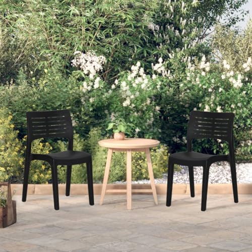 Qnhdfrt Gartenstühle 2er Set Anthrazit aus Polypropylen Leicht Stapelbar mit Ergonomischer Rückenlehne für Garten Balkon Terrasse Outdoor Möbel von Qnhdfrt