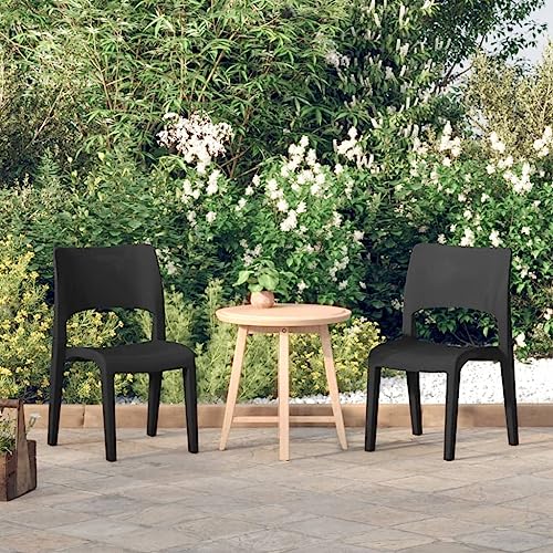 Qnhdfrt Gartenstühle 2er Set Outdoor Campingstuhl Leicht Stackable aus Polypropylen Anthrazit Modernes Design für Garten Balkon Strand Größe 50x51x82cm von Qnhdfrt