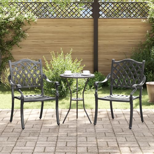 Qnhdfrt Gartenstühle Outdoor Schwarz Aluminium 2 STK. Modernes Design Robust Bequem für Terrasse Balkon Garten Camping von Qnhdfrt