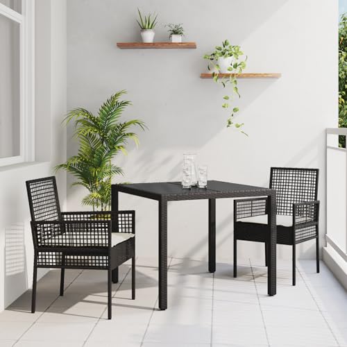 Qnhdfrt Gartenstuhl Set Schwarz Quadratisch Synthetisches Poly Rattan für 2 Personen Modernes Design Wetterfeste Outdoor Möbel für Terrasse Balkon Garten von Qnhdfrt