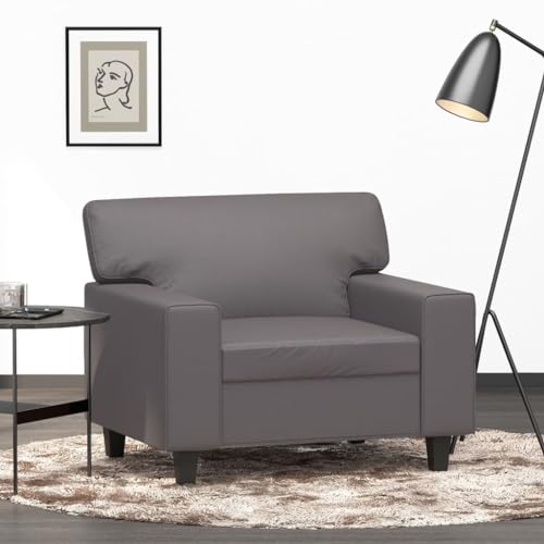 Qnhdfrt Grauer Sessel 60 cm Kunstleder Modernes Design Bequem mit Metallgestell für Wohnzimmer Balkon oder Lounge Entspannung Lesen Fernsehen Qnhdfrt Grauer Sessel 60 cm Kunstleder Modernes Design Bequem mit Metallgestell für Wohnzimmer Balkon oder Lounge Entspannung Lesen Fernsehen von Qnhdfrt