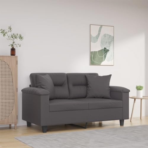 Qnhdfrt Graues 2-Sitzer-Sofa aus Kunstleder 120 cm Modern Robust mit Zierkissen Metallgestell Bequem für Wohnzimmer Esszimmer Kleine Räume Qnhdfrt Graues 2-Sitzer-Sofa aus Kunstleder 120 cm Modern Robust mit Zierkissen Metallgestell Bequem für Wohnzimmer Esszimmer Kleine Räume von Qnhdfrt