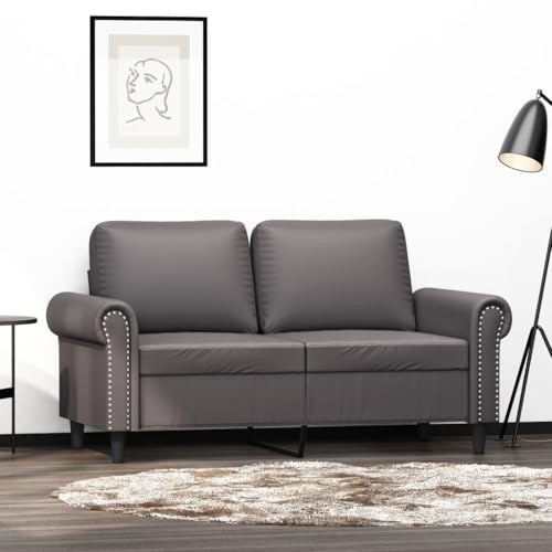Qnhdfrt Graues Zweisitzer Sofa aus Kunstleder 120 cm Sitzbreite Moderne Couch mit Dicker Polsterung Robust für Wohnzimmer Balkon Jugendzimmer von Qnhdfrt