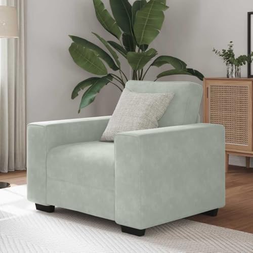 Qnhdfrt Hellgrauer Samt Sessel 60 cm Sitzbreite Komfortabler Relaxsessel und Lesesessel mit Weichem Stoff Robustem Gestell für Wohnzimmer Schlafzimmer Büro Modernes Design Qnhdfrt Hellgrauer Samt Sessel 60 cm Sitzbreite Komfortabler Relaxsessel und Lesesessel mit Weichem Stoff Robustem Gestell für Wohnzimmer Schlafzimmer Büro Modernes Design von Qnhdfrt