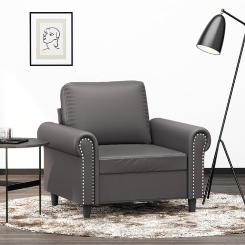Qnhdfrt Kunstleder Sessel Grau 60 cm Breite Moderner Relaxsessel für Wohnzimmer mit Robustem Metallgestell von Qnhdfrt