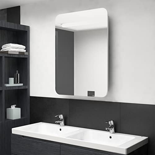 Qnhdfrt LED Spiegelschrank mit Beleuchtung Weiß und Eichenoptik 60x11x80 cm für Badezimmer Stauraum mit Zwei Böden Qnhdfrt LED Spiegelschrank mit Beleuchtung Weiß und Eichenoptik 60x11x80 cm für Badezimmer Stauraum mit Zwei Böden von Qnhdfrt