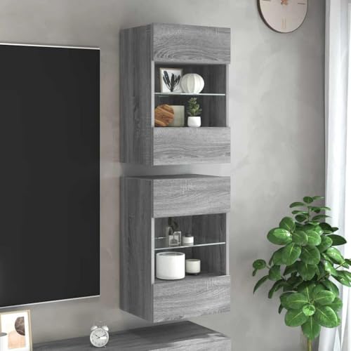 Qnhdfrt LED Wandboard Lowboard 2er Set Grau Sonoma 40 x 30 x 60,5 cm Holzwerkstoff mit RGB Beleuchtung und Glasablage platzsparendes TV Sideboard für Wohnzimmer Schlafzimmer von Qnhdfrt