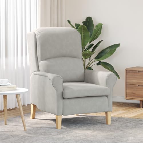 Qnhdfrt Loungesessel Wohnzimmer Ergonomischer Sessel Hellgrau Stoff Rechteckig Einzelsitz Komfort für Entspannung Lesen Wohnzimmer Schlafzimmer von Qnhdfrt