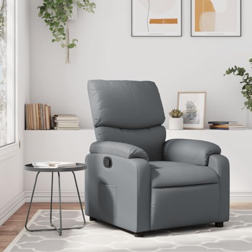 Qnhdfrt Manuell Verstellbarer Relaxsessel Grau Kunstleder mit Liegefunktion, Bequemer Loungesessel für Wohnzimmer Schlafzimmer und Balkon, 75 cm Breite, Stabiler Rahmen von Qnhdfrt