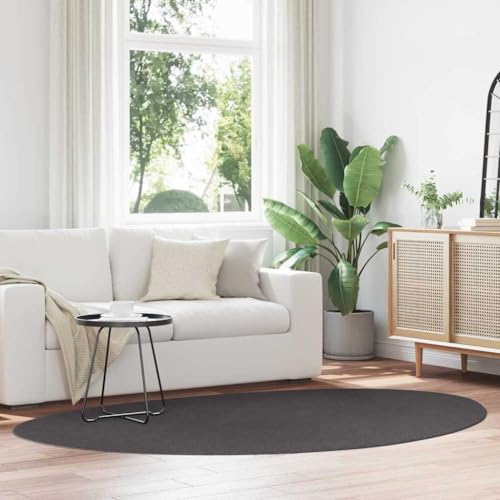 Qnhdfrt Moderner Teppich Anthrazit 160x230 cm aus strapazierfähigem Polypropylen mit Matter Oberfläche für Wohnzimmer, Schlafzimmer und Flur von Qnhdfrt