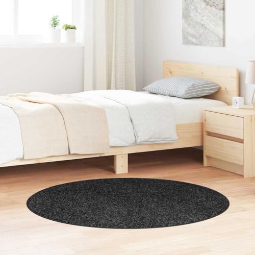 Qnhdfrt Moderner runder Teppich aus hochwertigem Polyester, Holzkohle, weich und strapazierfähig, maschinenwaschbar für Wohnzimmer und Schlafzimmer von Qnhdfrt