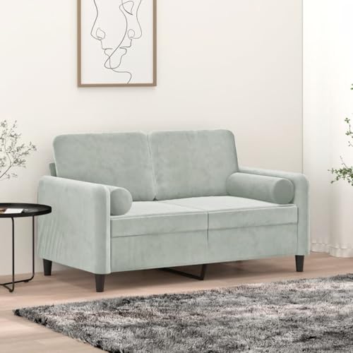 Qnhdfrt Modernes 2-Sitzer Sofa Hellgrau 120 cm mit Samt Bezug und Zierkissen – Robustes Metallgestell für Wohnzimmer Lounge oder Kleine Räume Qnhdfrt Modernes 2-Sitzer Sofa Hellgrau 120 cm mit Samt Bezug und Zierkissen – Robustes Metallgestell für Wohnzimmer Lounge oder Kleine Räume von Qnhdfrt
