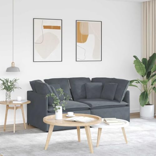 Qnhdfrt Modulares Ecksofa Dunkelgrau Samt mit Kissen 200x100x64 cm Großzügige Sitzfläche Modernes Design für Wohnzimmer und Sitzecke Qnhdfrt Modulares Ecksofa Dunkelgrau Samt mit Kissen 200x100x64 cm Großzügige Sitzfläche Modernes Design für Wohnzimmer und Sitzecke von Qnhdfrt