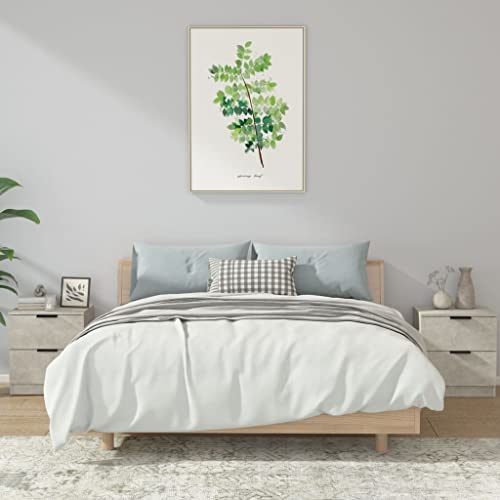 Qnhdfrt Nachttische 2er Set Betongrau 45x39x50 cm, Holzwerkstoff mit 2 Schubladen, Modernes Design & Stauraum, Robuste nightstand für Schlafzimmer Wohnzimmer Flur von Qnhdfrt