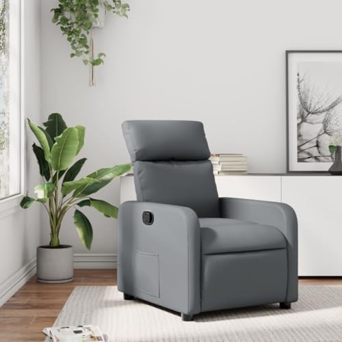 Qnhdfrt Relaxsessel Grau mit manueller Liegefunktion, Kunstleder Bezug, Bequem für Wohnzimmer Schlafzimmer oder Balkon, Max. 110 kg Tragfähigkeit, Stabiles Design von Qnhdfrt