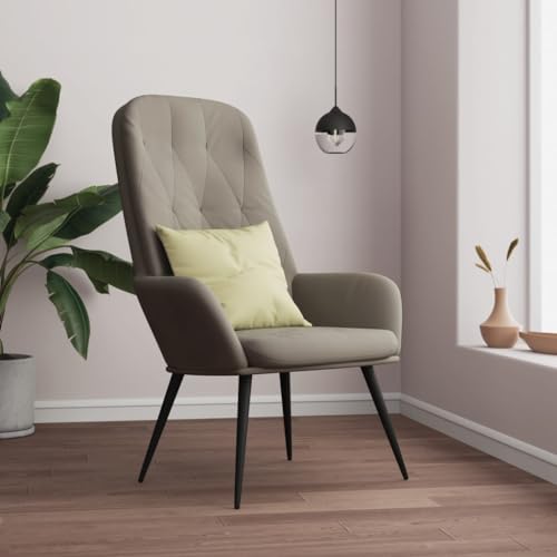 Qnhdfrt Relaxsessel Hellgrau Samt Moderner Loungesessel mit Robustem Metallgestell Dekorative Details Bequem für Wohnzimmer Schlafzimmer und Schminktisch von Qnhdfrt