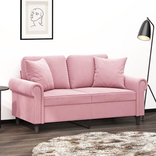 Qnhdfrt Rosa 2-Sitzer Samtsofa 152 cm Modernes Design mit Zierkissen Robustes Metallgestell Gepolsterte Sitzfläche für Wohnzimmer Jugendzimmer und Balkon Qnhdfrt Rosa 2-Sitzer Samtsofa 152 cm Modernes Design mit Zierkissen Robustes Metallgestell Gepolsterte Sitzfläche für Wohnzimmer Jugendzimmer und Balkon von Qnhdfrt