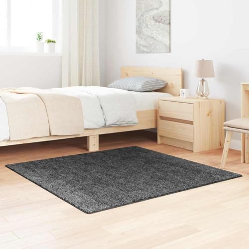 Qnhdfrt Rund Teppich Dunkelgrau Moderner Bereichsteppich aus Synthetischem Polypropylen mit Rutschfester Unterseite für Wohnzimmer, Schlafzimmer und Flur Qnhdfrt Rund Teppich Dunkelgrau Moderner Bereichsteppich aus Synthetischem Polypropylen mit Rutschfester Unterseite für Wohnzimmer, Schlafzimmer und Flur von Qnhdfrt