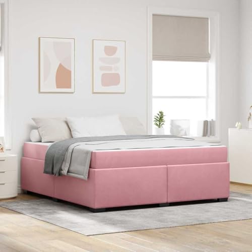 Qnhdfrt Samt Bettgestell mit Matratze 180 x 200 cm Rosa Modernes Design Robuster Sperrholzrahmen bis 140 kg Belastbar Hochdichte Schaummatratze für en Schlafkomfort von Qnhdfrt