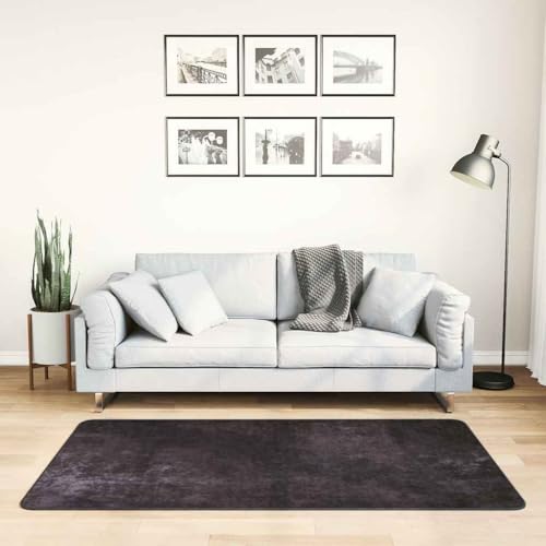 Qnhdfrt Samt Teppich Anthrazit 80x150 cm Weich & rutschfest mit Geräuschdämpfung für Wohnzimmer, Schlafzimmer und Flur von Qnhdfrt
