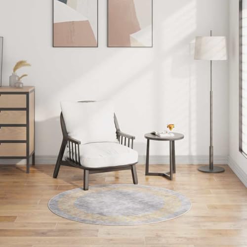 Qnhdfrt Samt Teppich Grau 120 cm Weich und rutschfest mit Modernem Design für Wohnzimmer, Schlafzimmer und Flur von Qnhdfrt