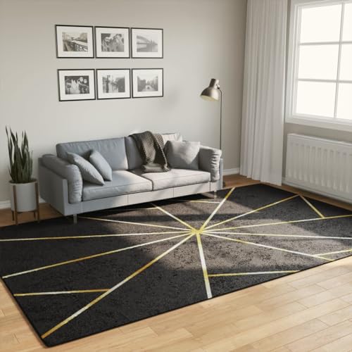 Qnhdfrt Samt Teppich Schwarz Gold 190x300 cm Weich rutschfest Geräuschdämmend für Wohnzimmer Schlafzimmer und Flur Qnhdfrt Samt Teppich Schwarz Gold 190x300 cm Weich rutschfest Geräuschdämmend für Wohnzimmer Schlafzimmer und Flur von Qnhdfrt