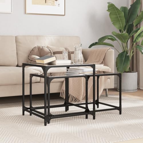 Qnhdfrt Satztische Set 2 Stück Schwarz mit Glasplatte Stahl Modern Beistelltisch Couchtisch Nachttisch für Wohnzimmer Schlafzimmer Qnhdfrt Satztische Set 2 Stück Schwarz mit Glasplatte Stahl Modern Beistelltisch Couchtisch Nachttisch für Wohnzimmer Schlafzimmer von Qnhdfrt