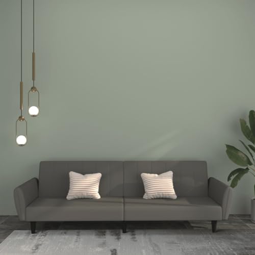Qnhdfrt Schlafsofa 2-Sitzer Dunkelgrau Samt mit Bettfunktion für kleine Räume und Gästeübernachtung 220 cm Länge Qnhdfrt Schlafsofa 2-Sitzer Dunkelgrau Samt mit Bettfunktion für kleine Räume und Gästeübernachtung 220 cm Länge von Qnhdfrt