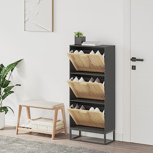 Qnhdfrt Schuhschrank Schwarz 52x25x120 cm aus Holzwerkstoff mit Eisenbeinen, schmal und platzsparend für Flur oder Eingangsbereich, elegant mit Staubschutz und Dekorationsfläche Qnhdfrt Schuhschrank Schwarz 52x25x120 cm aus Holzwerkstoff mit Eisenbeinen, schmal und platzsparend für Flur oder Eingangsbereich, elegant mit Staubschutz und Dekorationsfläche von Qnhdfrt