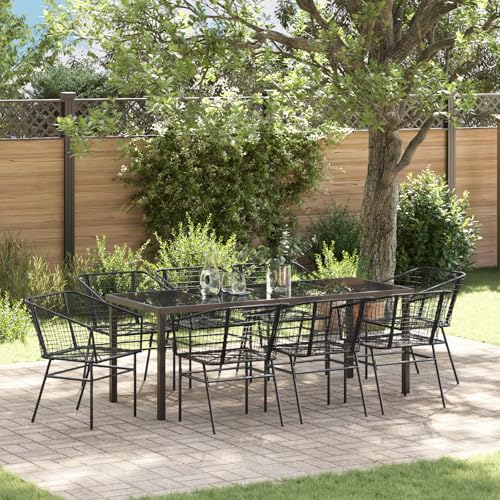 Qnhdfrt Schwarz Poly-Rattan Gartenstuhl Set 2er für Outdoor, Modernes Design mit Pulverbeschichtetem Stahlrahmen, Wetterbeständig und Komfortabel für Garten, Terrasse und Balkon von Qnhdfrt