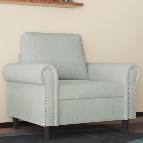 Qnhdfrt Sessel Hellgrau 60 cm Samt mit Metallgestell Bequem Modernes Design für Wohnzimmer Balkon Esszimmer Qnhdfrt Sessel Hellgrau 60 cm Samt mit Metallgestell Bequem Modernes Design für Wohnzimmer Balkon Esszimmer von Qnhdfrt