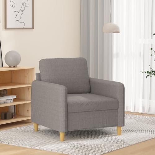 Qnhdfrt Sessel Taupe 60 cm Stoff Moderner Relaxsessel für Wohnzimmer Balkon und Lesen mit bequemer Polsterung robustem Metallgestell 110 kg Tragfähigkeit und kompakter Größe von Qnhdfrt