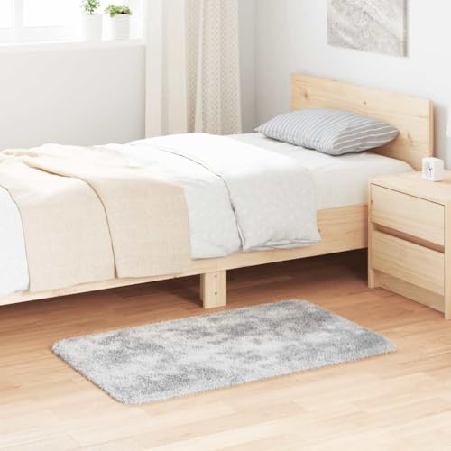 Qnhdfrt Shaggy Hochflor Teppich NAVARRA Silbergrau 60x100 cm - Flauschiger & Rutschfester Wohnzimmerteppich aus Polyester für Balkon, Schlafzimmer und Flur Qnhdfrt Shaggy Hochflor Teppich NAVARRA Silbergrau 60x100 cm - Flauschiger & Rutschfester Wohnzimmerteppich aus Polyester für Balkon, Schlafzimmer und Flur von Qnhdfrt