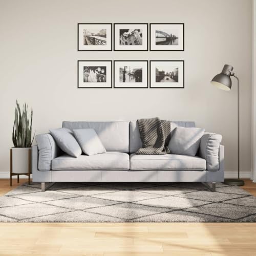 Qnhdfrt Shaggy Teppich Hochflor 140x200 cm Beige Anthrazit aus 100% Polypropylen weich flauschig für Wohnzimmer Schlafzimmer und Flur Qnhdfrt Shaggy Teppich Hochflor 140x200 cm Beige Anthrazit aus 100% Polypropylen weich flauschig für Wohnzimmer Schlafzimmer und Flur von Qnhdfrt