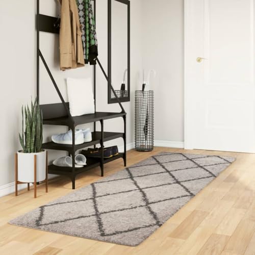 Qnhdfrt Shaggy Teppich Hochflor 80x250 cm Beige Anthrazit weich flauschig für Wohnzimmer Schlafzimmer Flur von Qnhdfrt