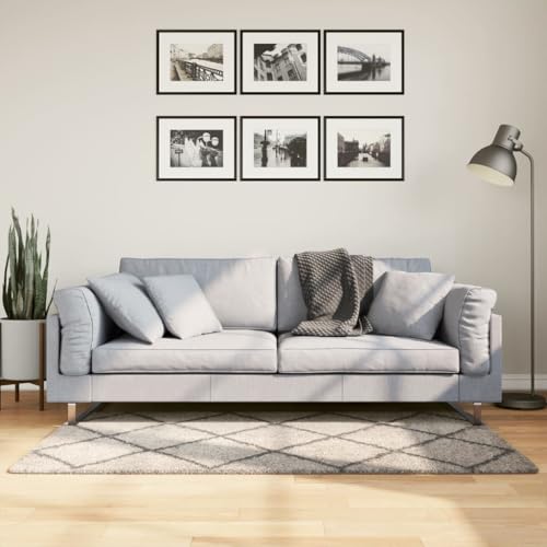 Qnhdfrt Shaggy Teppich Hochflor Modern Beige Anthrazit 80x150 cm weich flauschig für Wohnzimmer Schlafzimmer Flur Qnhdfrt Shaggy Teppich Hochflor Modern Beige Anthrazit 80x150 cm weich flauschig für Wohnzimmer Schlafzimmer Flur von Qnhdfrt