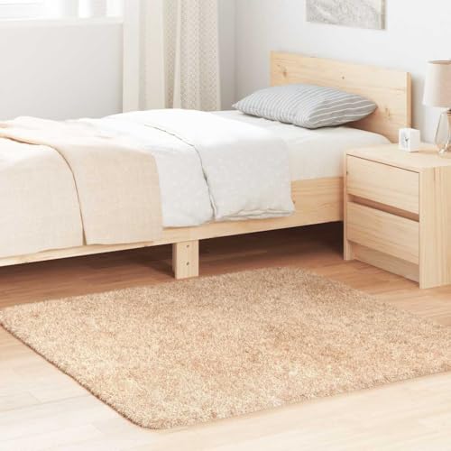 Qnhdfrt Shaggy Teppich Hochflor NAVARRA Beige 120x120 cm - Robuster & pflegeleichter Wohnzimmerteppich aus Polyester mit Rutschfester Unterseite für Wohnzimmer, Schlafzimmer und Balkon Qnhdfrt Shaggy Teppich Hochflor NAVARRA Beige 120x120 cm - Robuster & pflegeleichter Wohnzimmerteppich aus Polyester mit Rutschfester Unterseite für Wohnzimmer, Schlafzimmer und Balkon von Qnhdfrt