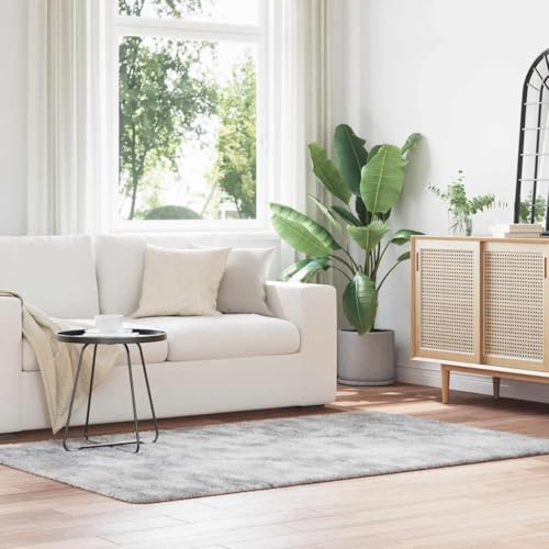 Qnhdfrt Shaggy Teppich Hochflor NAVARRA Silbergrau 130x200 cm - Robuster & pflegeleichter Wohnzimmerteppich aus 100% Polyester, rutschfeste Unterseite für Wohnzimmer, Schlafzimmer und Balkon Qnhdfrt Shaggy Teppich Hochflor NAVARRA Silbergrau 130x200 cm - Robuster & pflegeleichter Wohnzimmerteppich aus 100% Polyester, rutschfeste Unterseite für Wohnzimmer, Schlafzimmer und Balkon von Qnhdfrt