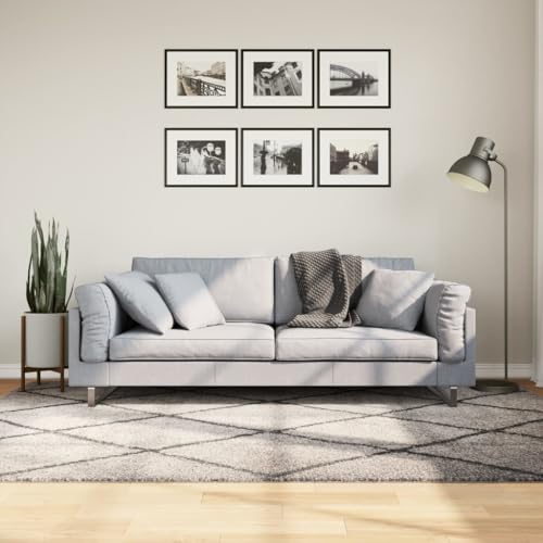 Qnhdfrt Shaggy Teppich Modern Beige Anthrazit 160x230 cm Flauschiger Hochflor aus 100% Polypropylen für Wohnzimmer Schlafzimmer und Flur Qnhdfrt Shaggy Teppich Modern Beige Anthrazit 160x230 cm Flauschiger Hochflor aus 100% Polypropylen für Wohnzimmer Schlafzimmer und Flur von Qnhdfrt