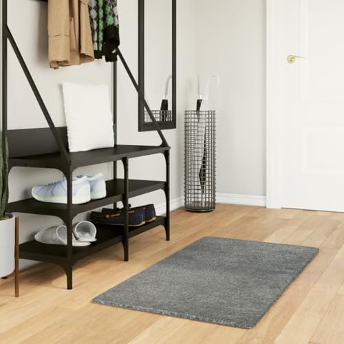 Qnhdfrt Shaggy Teppich Modern Grün 60x110 cm Flauschiger Hochflor aus 100% Polypropylen für Wohnzimmer Schlafzimmer und Flur Qnhdfrt Shaggy Teppich Modern Grün 60x110 cm Flauschiger Hochflor aus 100% Polypropylen für Wohnzimmer Schlafzimmer und Flur von Qnhdfrt