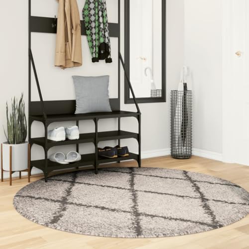 Qnhdfrt Shaggy-Teppich Pamplona Hochflor Modern Beige Anthrazit Ø 160cm weich flauschig für Wohnzimmer Schlafzimmer und Flur von Qnhdfrt