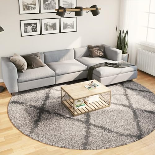 Qnhdfrt Shaggy Teppich Pamplona Hochflor Modern Beige Anthrazit Ø 280cm weich flauschig 100% Polypropylen für Wohnzimmer Schlafzimmer und Flur Qnhdfrt Shaggy Teppich Pamplona Hochflor Modern Beige Anthrazit Ø 280cm weich flauschig 100% Polypropylen für Wohnzimmer Schlafzimmer und Flur von Qnhdfrt