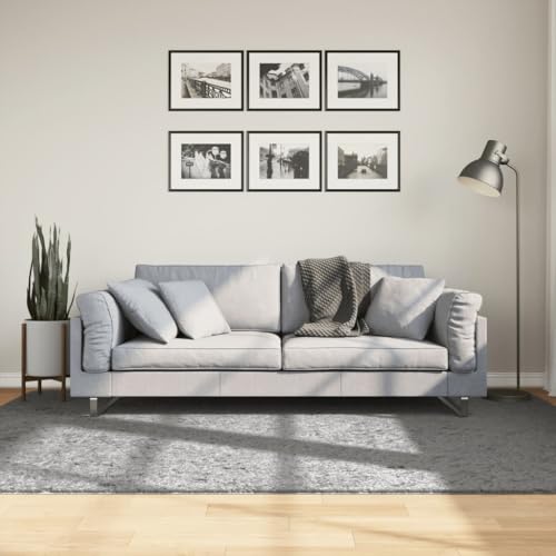Qnhdfrt Shaggy Teppich Pamplona Hochflor Modern Grau 160x230 cm weich flauschig 100% Polypropylen für Wohnzimmer Schlafzimmer und Flur mit Fußbodenheizung Qnhdfrt Shaggy Teppich Pamplona Hochflor Modern Grau 160x230 cm weich flauschig 100% Polypropylen für Wohnzimmer Schlafzimmer und Flur mit Fußbodenheizung von Qnhdfrt