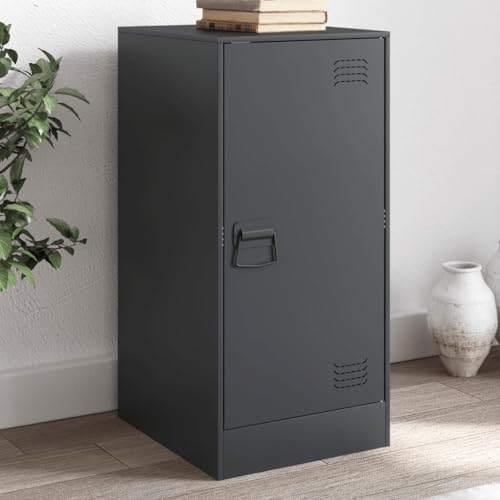 Qnhdfrt Sideboard Anthrazit aus Stahl 34,5x39x73 cm mit Tür und Fächern Robuster Aufbewahrungsschrank für Wohnzimmer Flur oder Küche von Qnhdfrt
